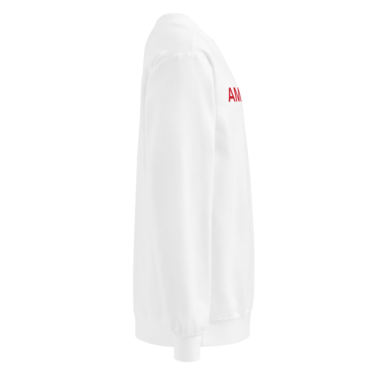 Proud American Wide Crewneck Sweatshirt - Light White right side | True American