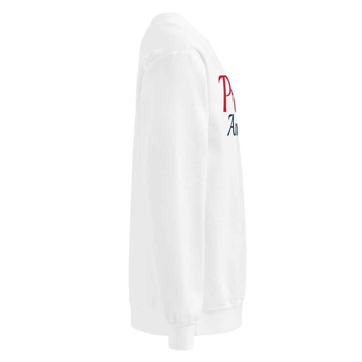 Proud American Brush Crewneck Sweatshirt - Light White right side | True American