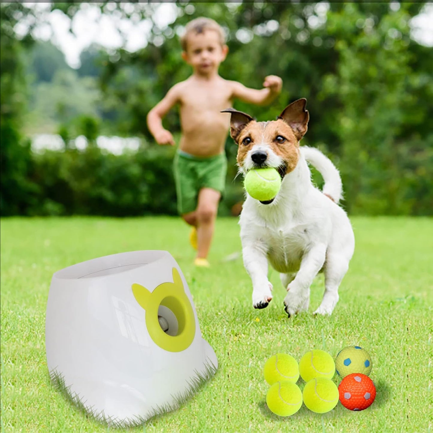 Auto Ball Launcher, Ball Launcher For Dogs - Automatic Ball Thrower For Dogs - Dogs Ball Thrower