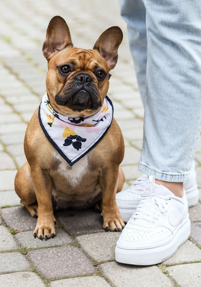 Custom design your All-over print bandana for you or your loved ones