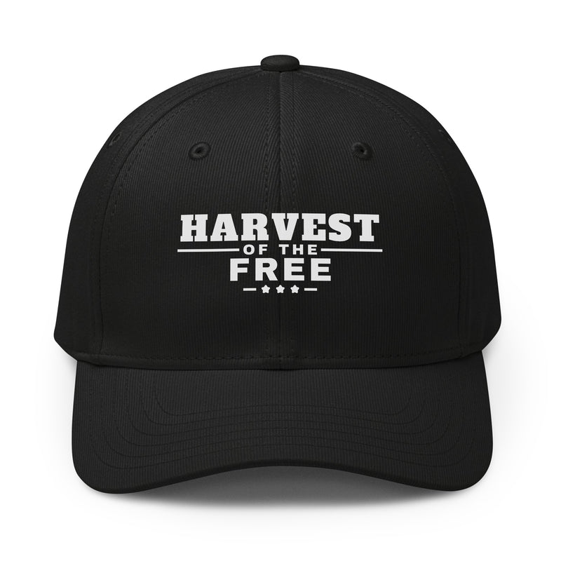 Harvest of the Free cap, Black, front | True American