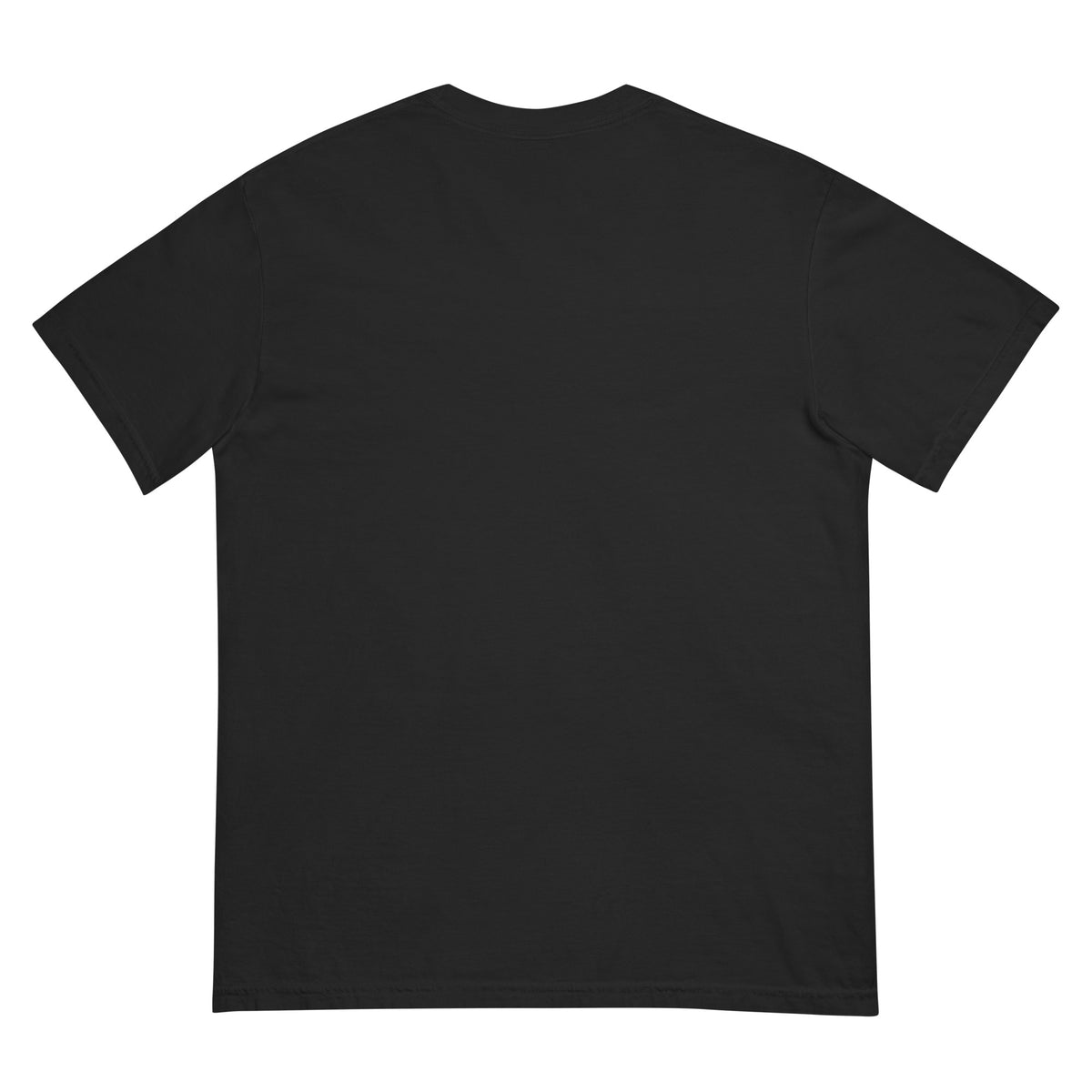 Country Worth Loving Heavyweight Tee, Black, back | True American
