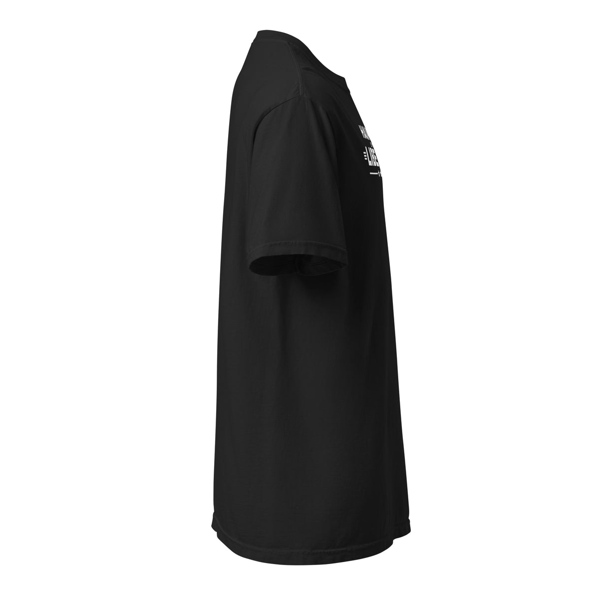 Haunted by Liberty Heavyweight Tee Black right side | True American