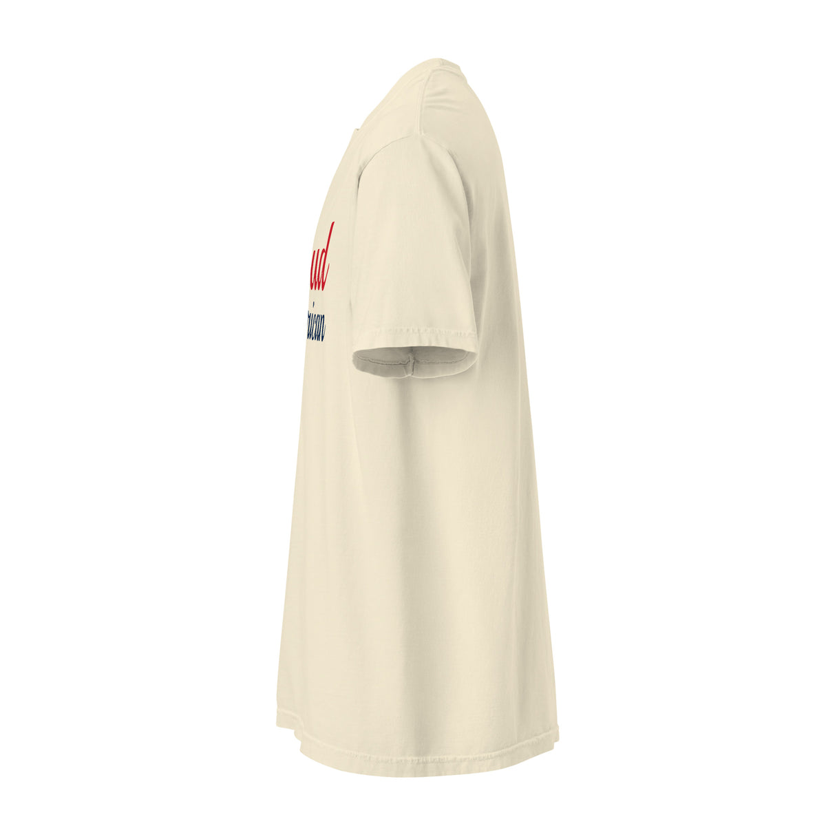 Proud American Brush Heavyweight Tee - Light Ivory left side | True American