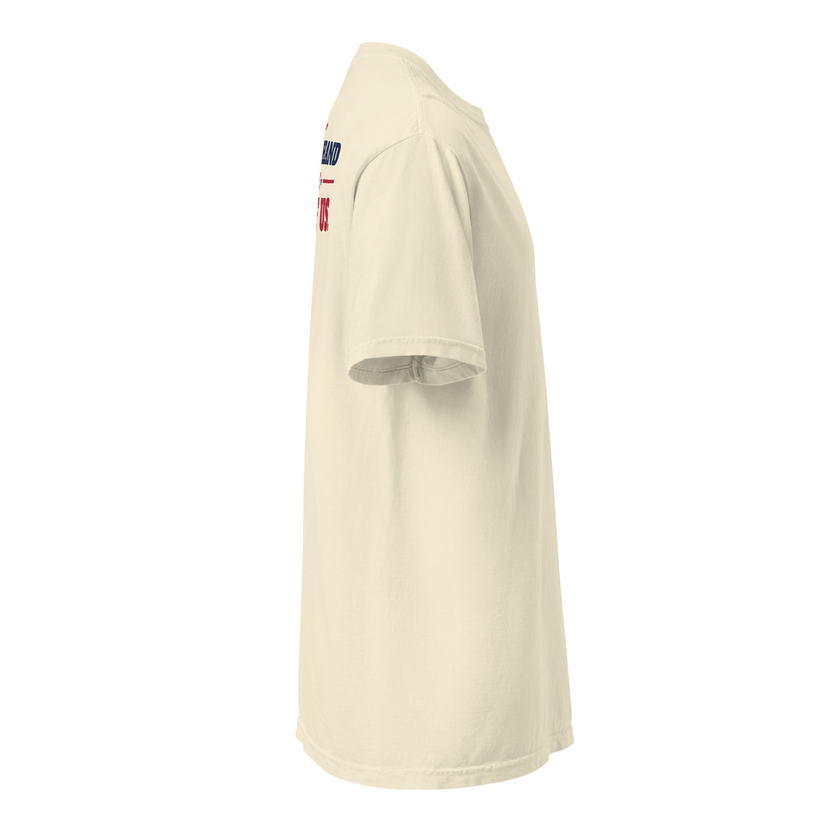 Raised a Hand Tee, Ivory, right side | True American