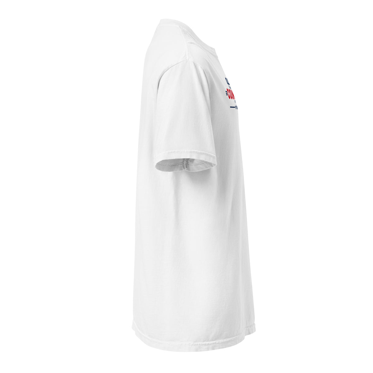 Older Than the Country Heavyweight Tee White right side | True American