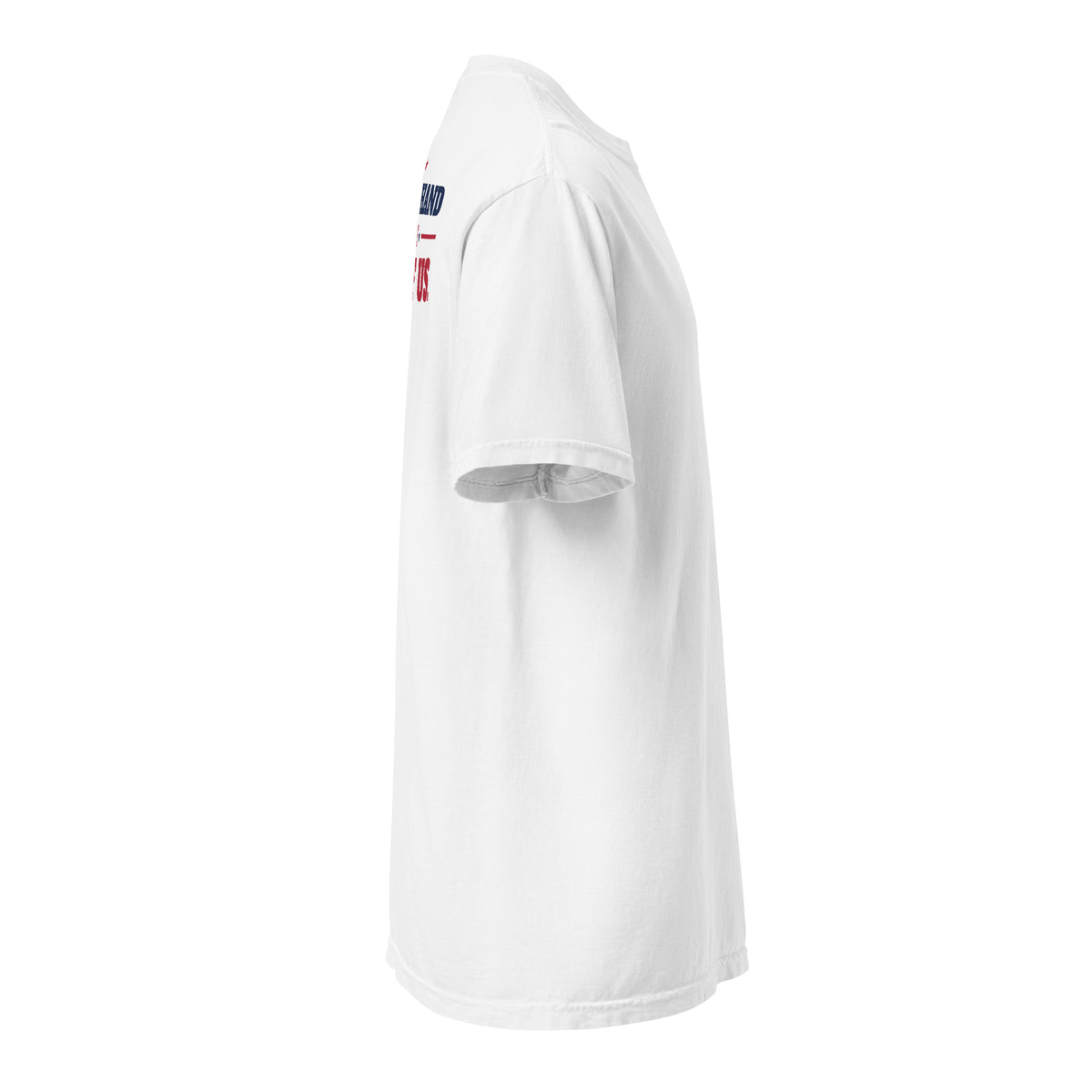 Raised a Hand Tee, White, right side | True American