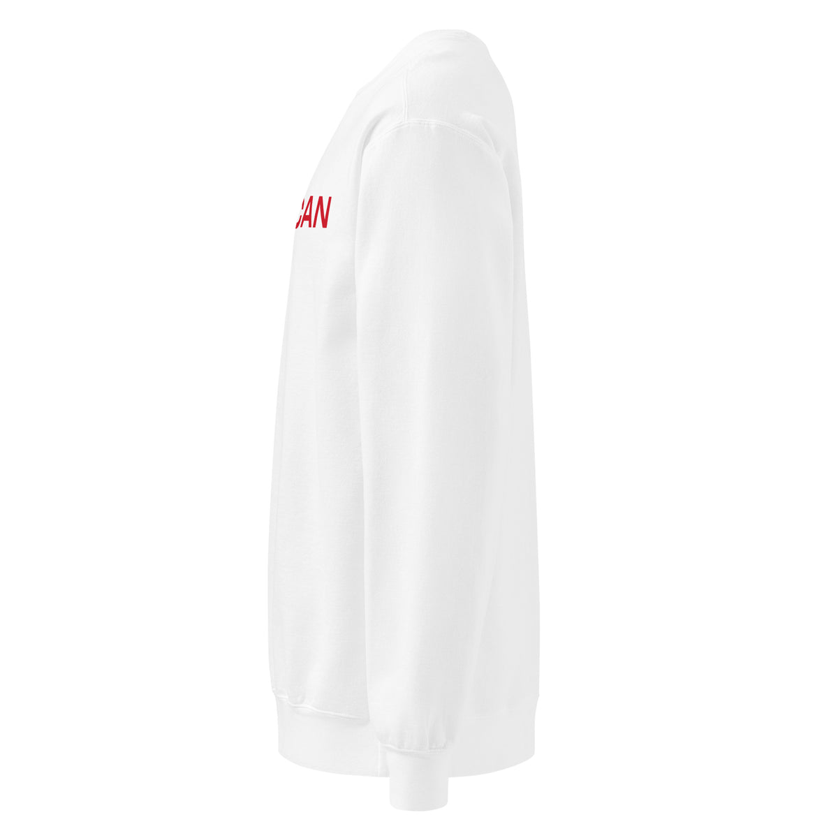 Proud American Wide Crewneck Sweatshirt - Light White left side | True American