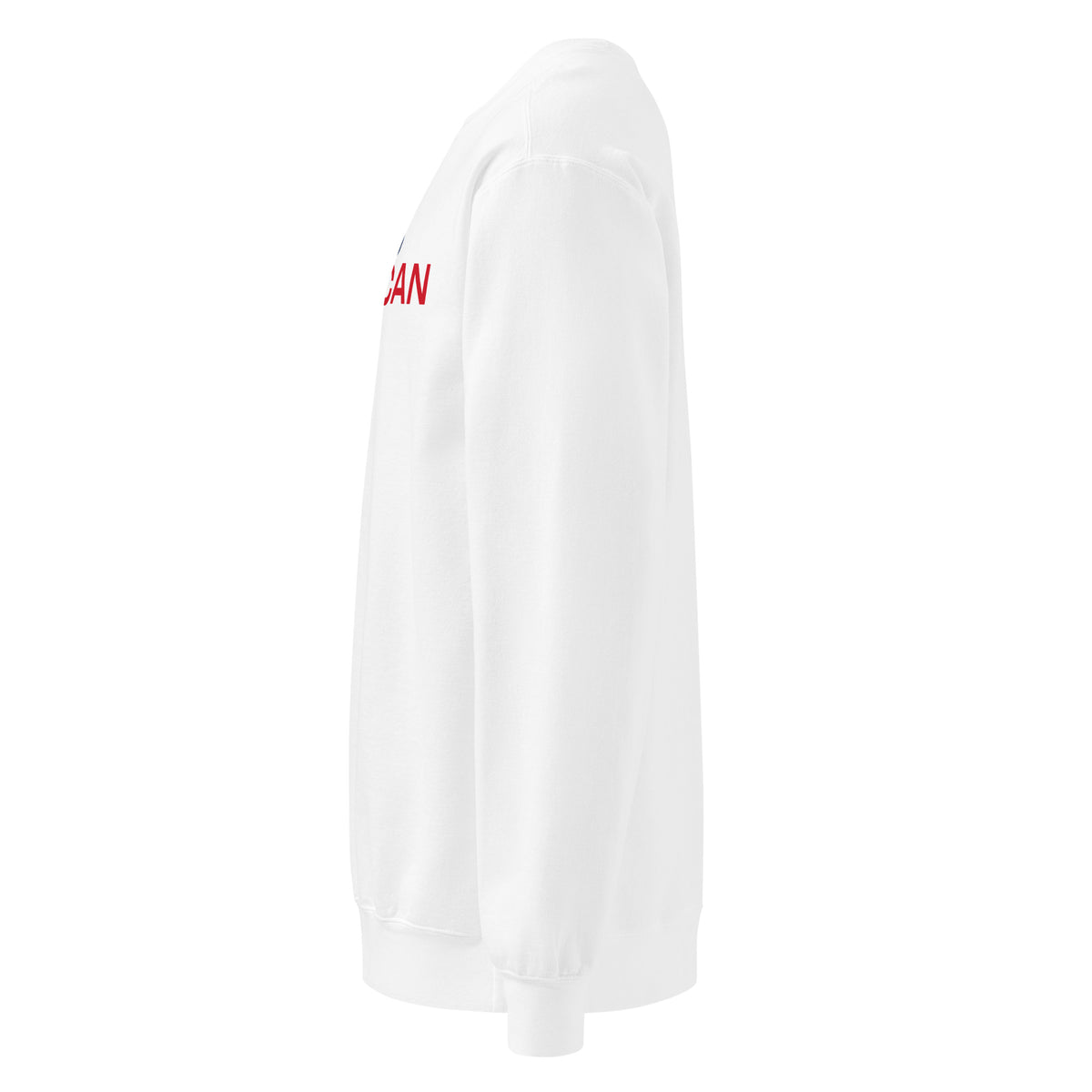 Proud American Star Crewneck Sweatshirt - Light White left side | True American