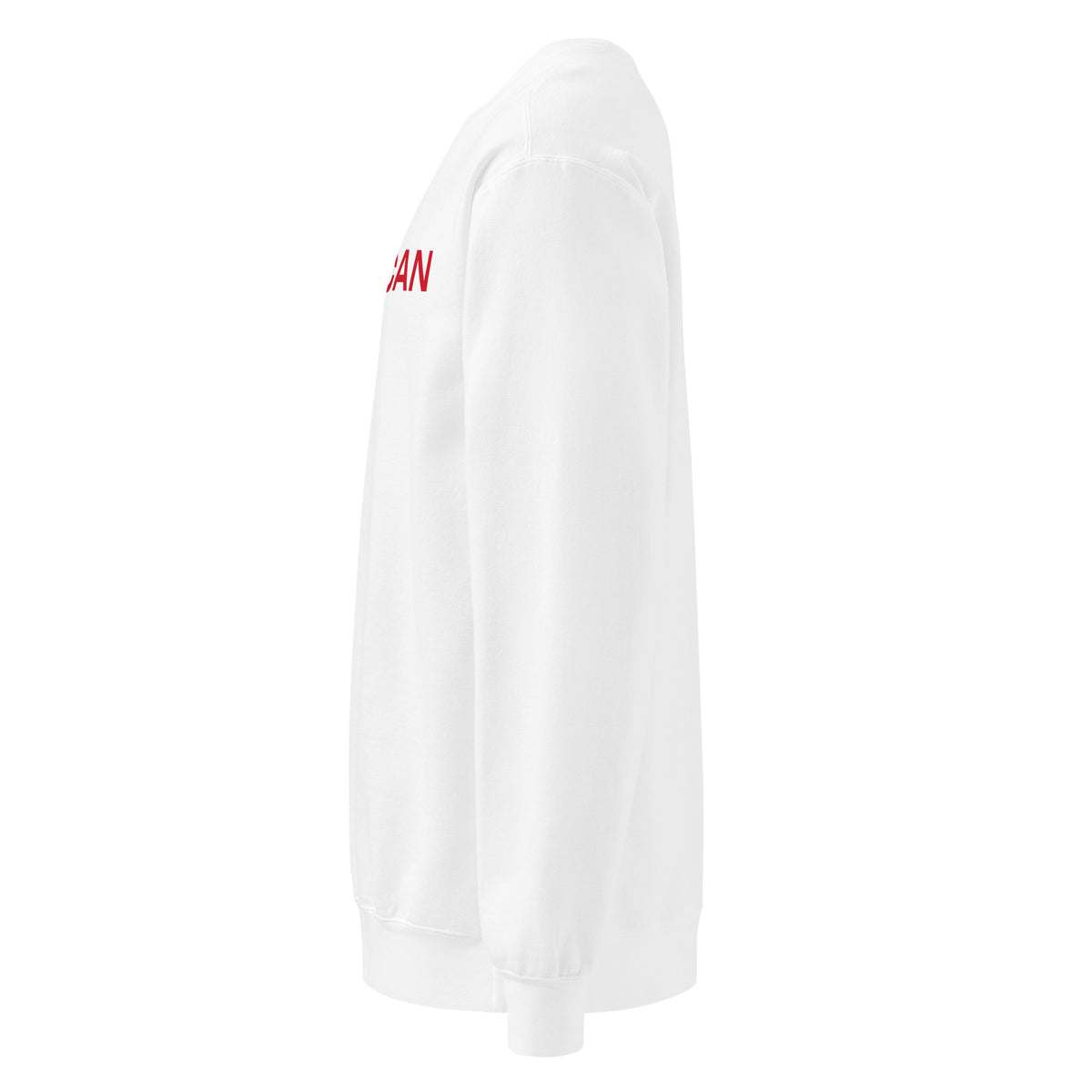 Proud American Cutout Star Crewneck Sweatshirt - Light White left side | True American