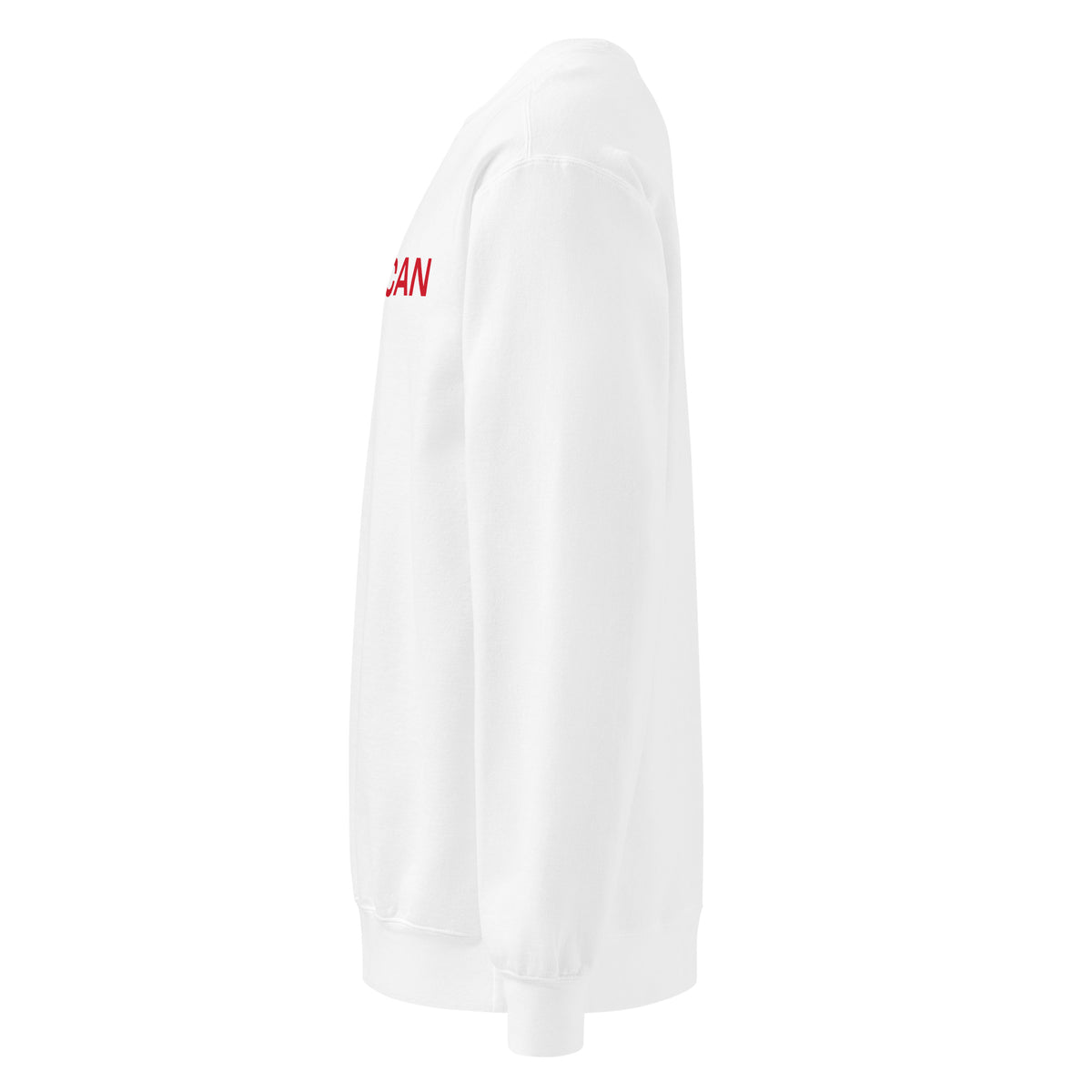 Proud American Vertical Crewneck Sweatshirt - Light White left side | True American