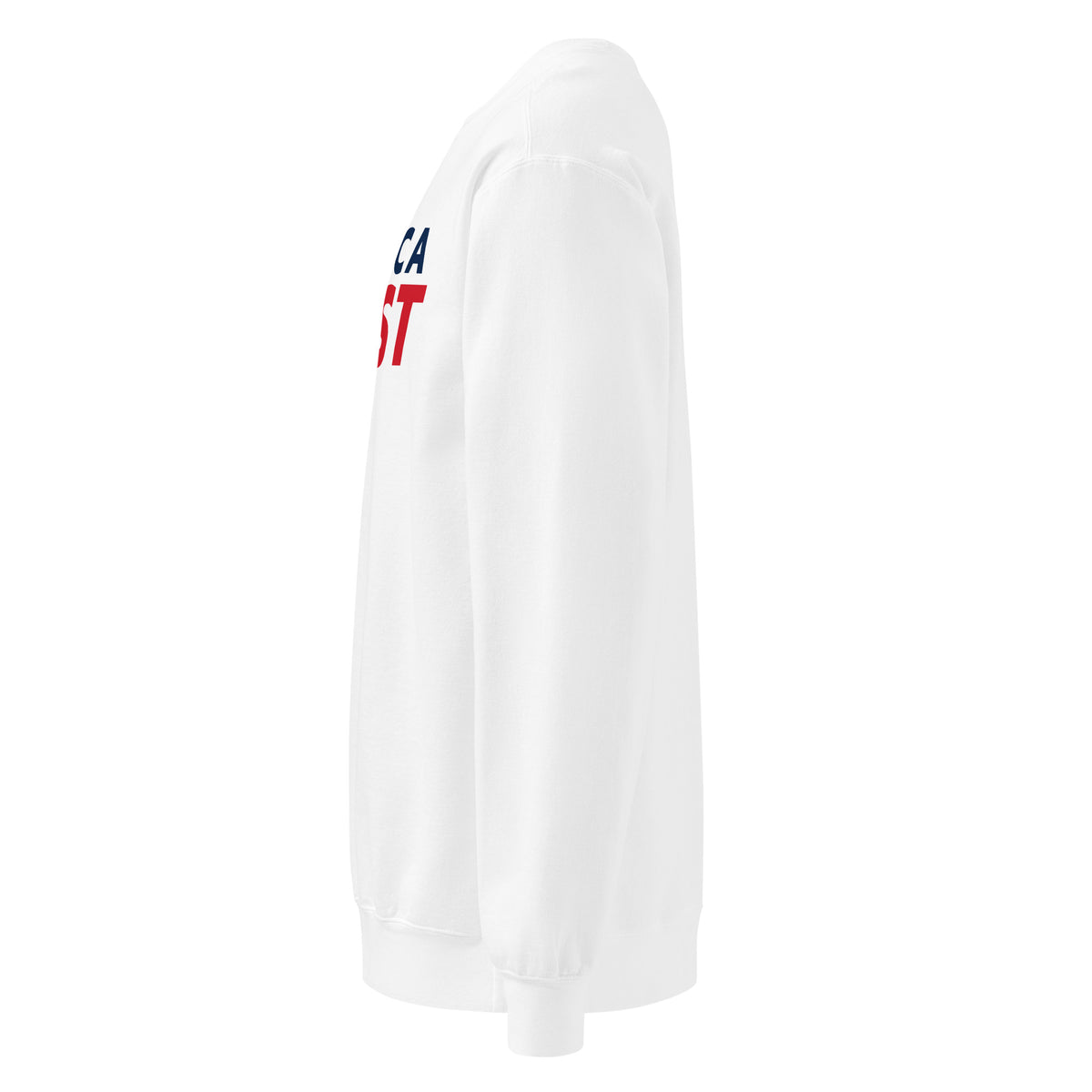 America First Italic Crewneck Sweatshirt - Light White left side | True American
