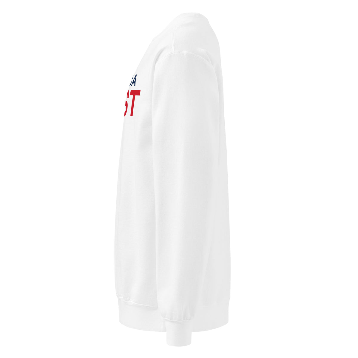 America First Hero Star Crewneck Sweatshirt - Light White left side | True American
