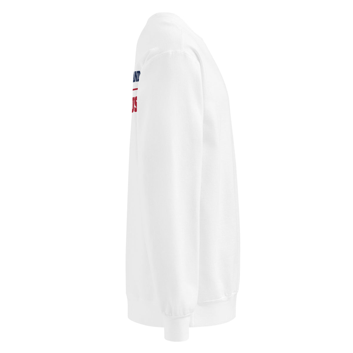 Raised a Hand Crewneck, White, right side | True American